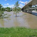 Calgary Flood<br>  
